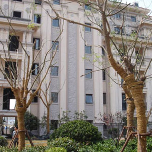 European component4.jpg