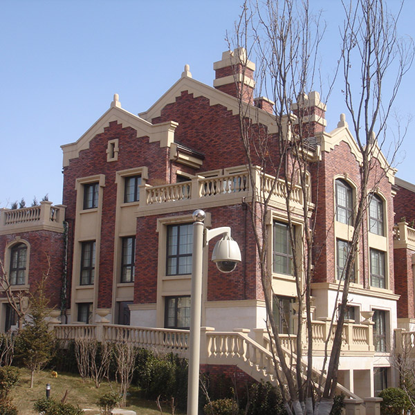 Take a broad view of the world