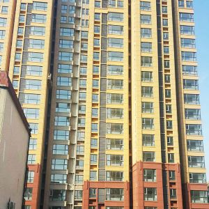 Xingyuan International